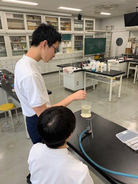 写真1